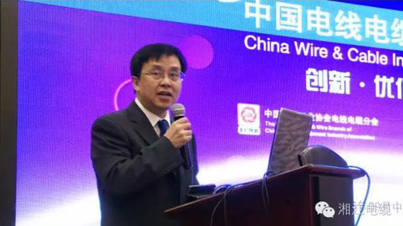 热烈祝贺湘江电缆荣获2016年中国电线电缆行业最具竞争力企业百强