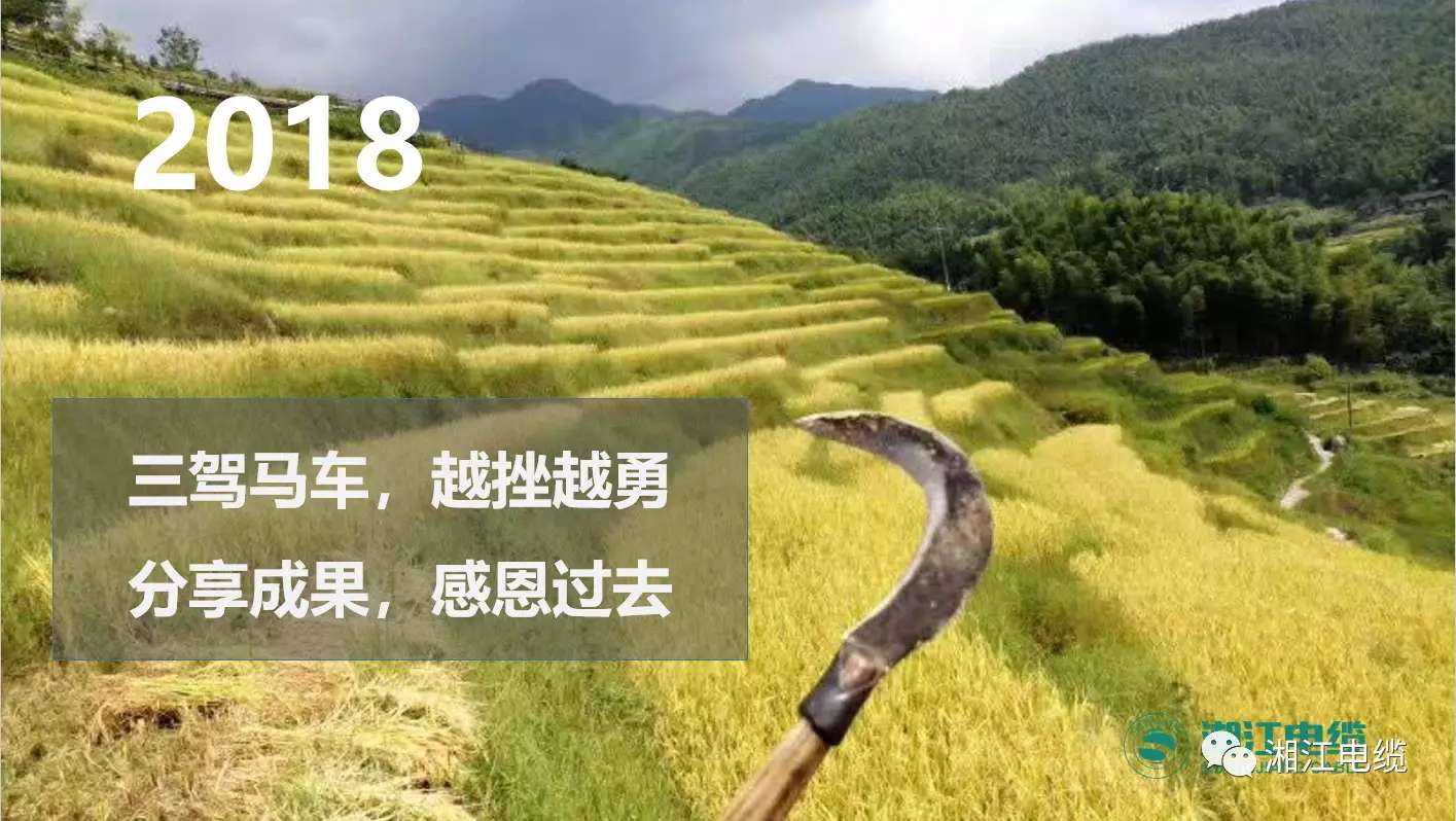 湘江电缆2019经销商会议暨迎新年会盛大举行