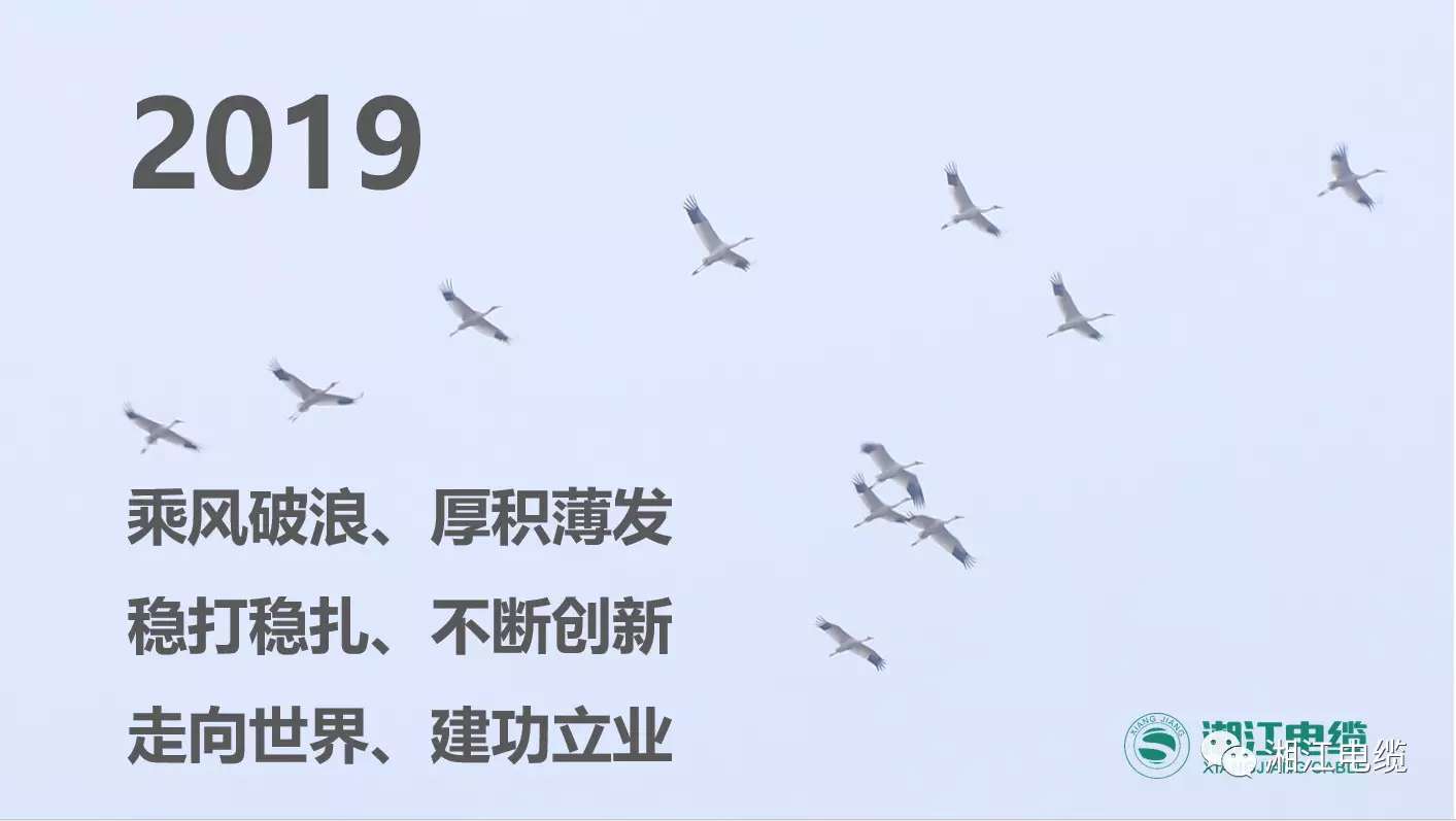 湘江电缆2019经销商会议暨迎新年会盛大举行